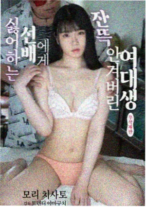 苍鹭静立浅滩的涉禽鸟类图片